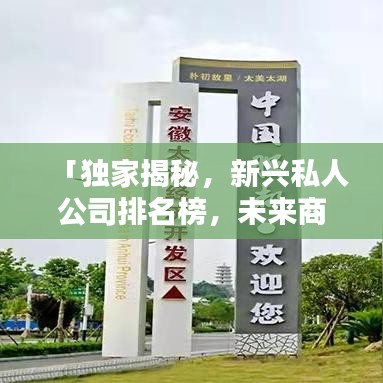 「独家揭秘，新兴私人公司排名榜，未来商业力量的崛起版图」
