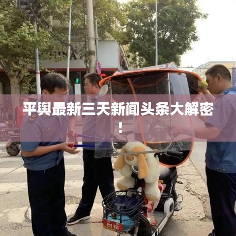 平舆最新三天新闻头条大解密！