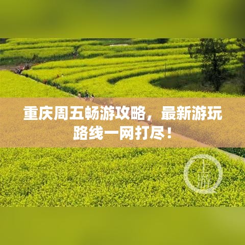 重庆周五畅游攻略，最新游玩路线一网打尽！