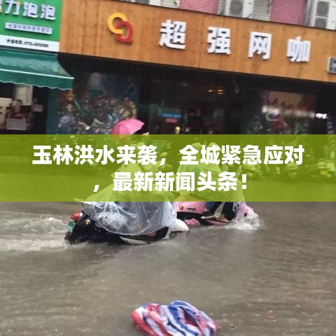 玉林洪水来袭，全城紧急应对，最新新闻头条！