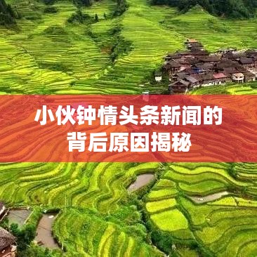 小伙钟情头条新闻的背后原因揭秘