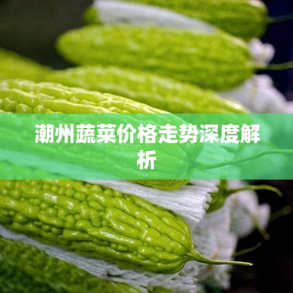 潮州蔬菜价格走势深度解析