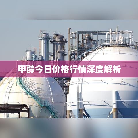 甲醇今日价格行情深度解析
