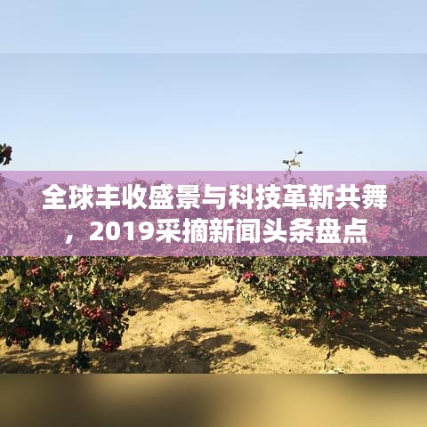 全球丰收盛景与科技革新共舞，2019采摘新闻头条盘点