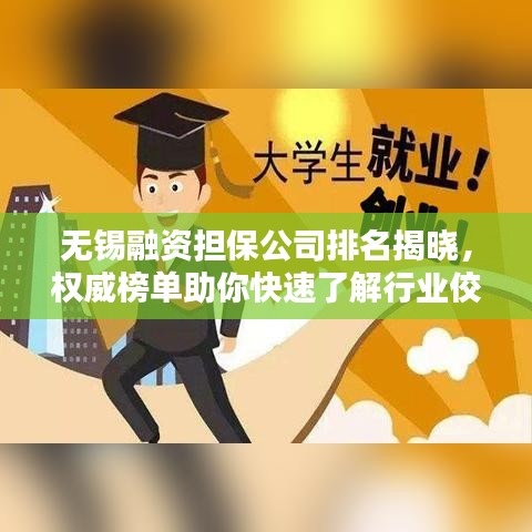无锡融资担保公司排名揭晓，权威榜单助你快速了解行业佼佼者！