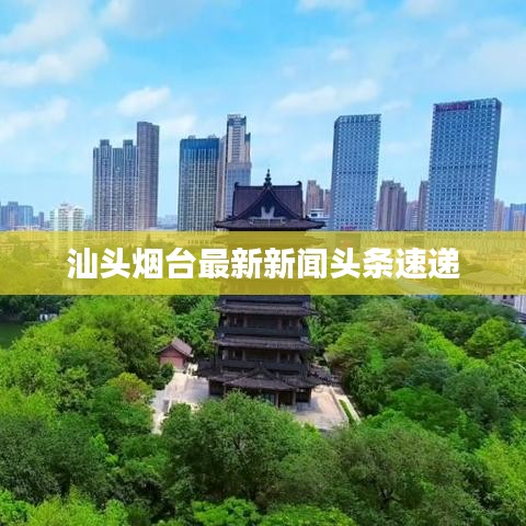 汕头烟台最新新闻头条速递