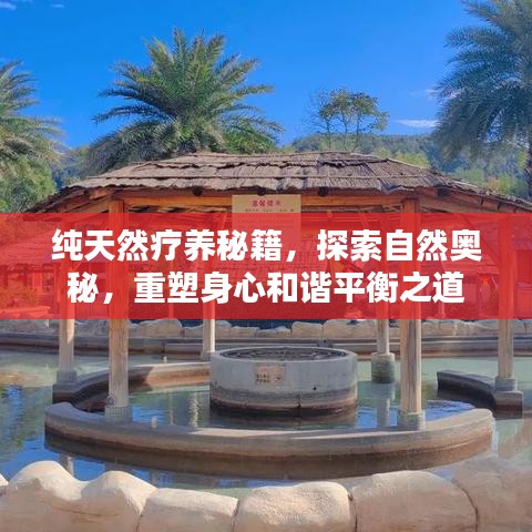 纯天然疗养秘籍，探索自然奥秘，重塑身心和谐平衡之道