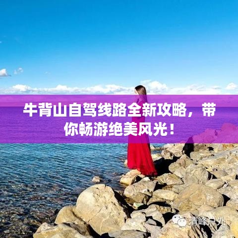 牛背山自驾线路全新攻略，带你畅游绝美风光！