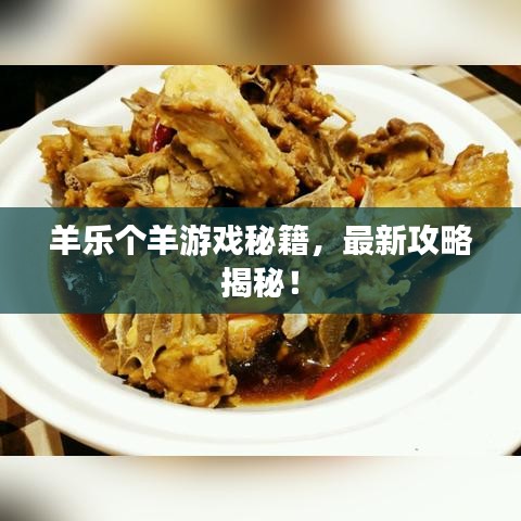 羊乐个羊游戏秘籍，最新攻略揭秘！