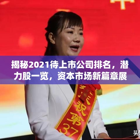 揭秘2021待上市公司排名，潜力股一览，资本市场新篇章展望