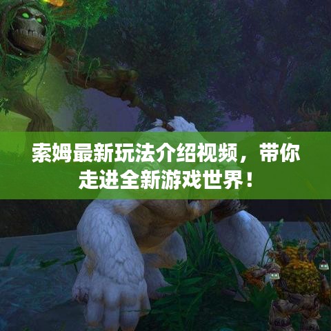 索姆最新玩法介绍视频，带你走进全新游戏世界！