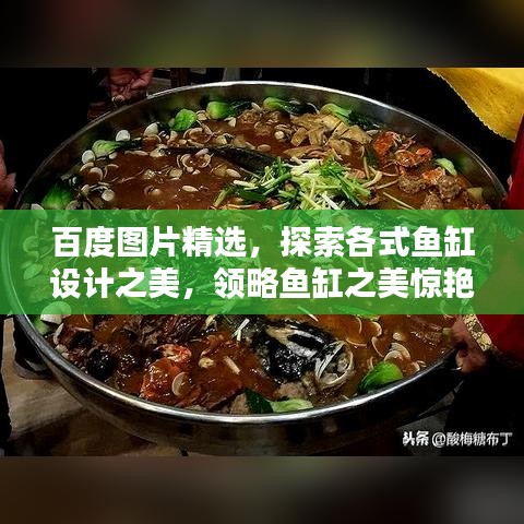 百度图片精选，探索各式鱼缸设计之美，领略鱼缸之美惊艳视觉！