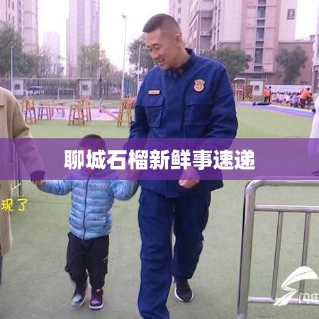 聊城石榴新鲜事速递