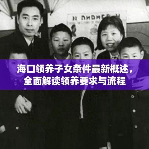 海口领养子女条件最新概述，全面解读领养要求与流程