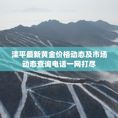 滦平最新黄金价格动态及市场动态查询电话一网打尽