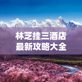 林芝挂三酒店最新攻略大全