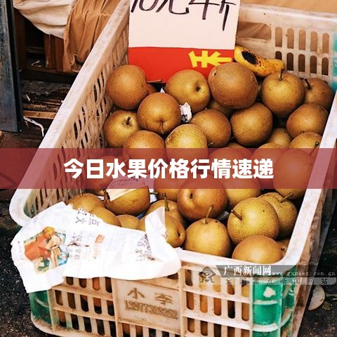 今日水果价格行情速递