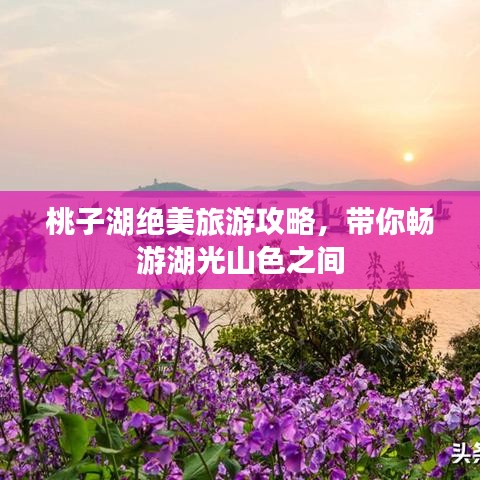 桃子湖绝美旅游攻略，带你畅游湖光山色之间