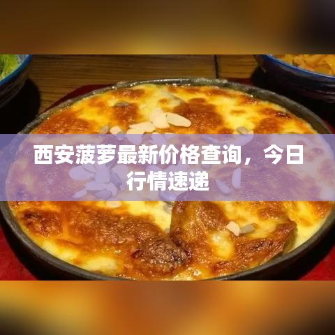 西安菠萝最新价格查询，今日行情速递