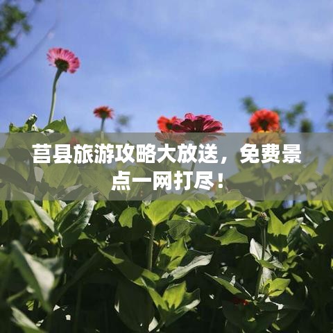 莒县旅游攻略大放送，免费景点一网打尽！