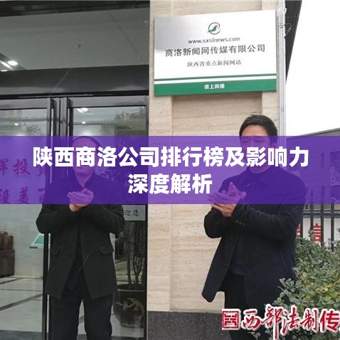 陕西商洛公司排行榜及影响力深度解析