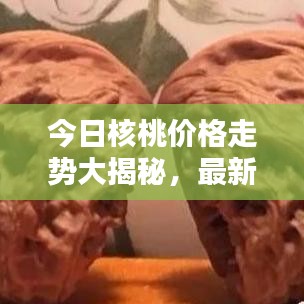 今日核桃价格走势大揭秘，最新动态一网打尽