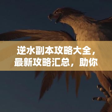 逆水副本攻略大全，最新攻略汇总，助你轻松通关！