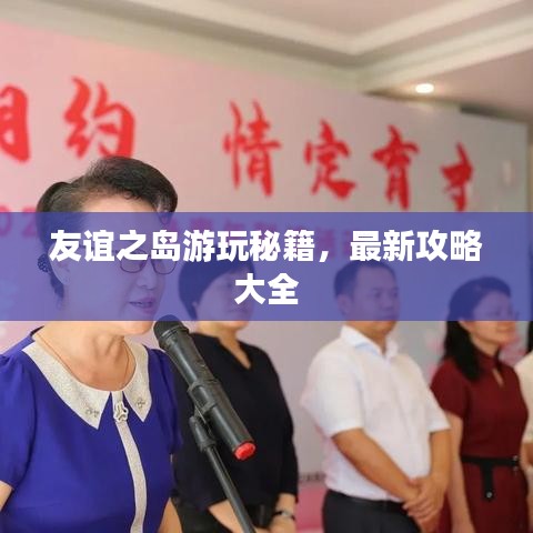 友谊之岛游玩秘籍，最新攻略大全