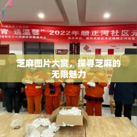 芝麻图片大赏，探寻芝麻的无限魅力