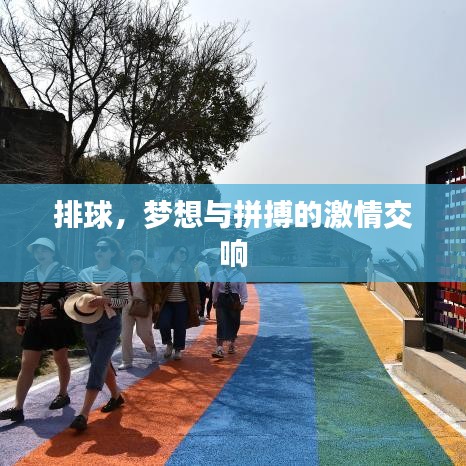 排球，梦想与拼搏的激情交响