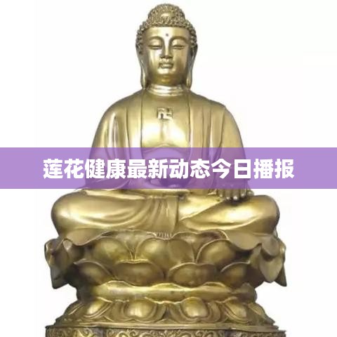 莲花健康最新动态今日播报