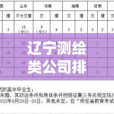 辽宁测绘类公司排名大揭秘，权威榜单，不容错过！