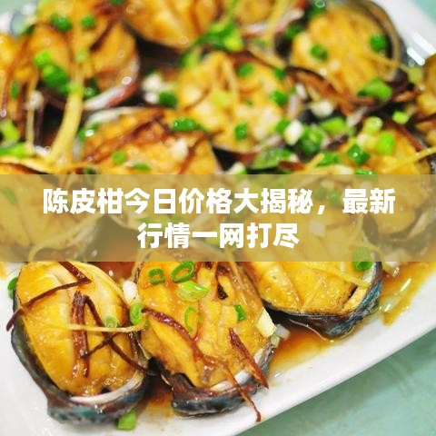陈皮柑今日价格大揭秘，最新行情一网打尽