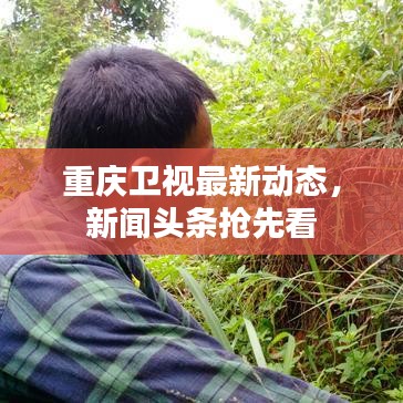 重庆卫视最新动态，新闻头条抢先看