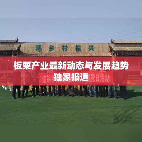 板栗产业最新动态与发展趋势独家报道