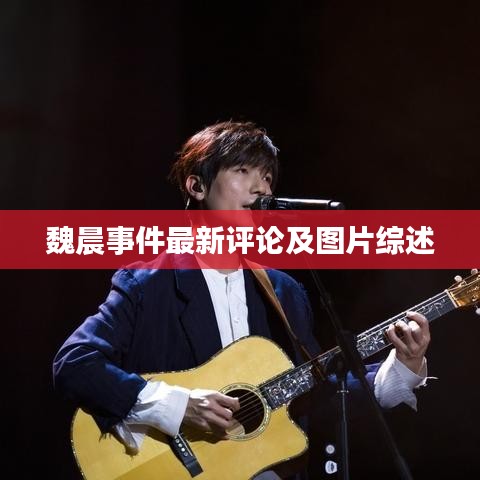 魏晨事件最新评论及图片综述