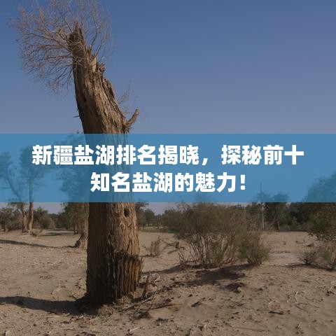 新疆盐湖排名揭晓，探秘前十知名盐湖的魅力！