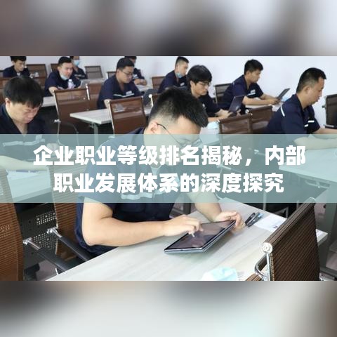 企业职业等级排名揭秘，内部职业发展体系的深度探究