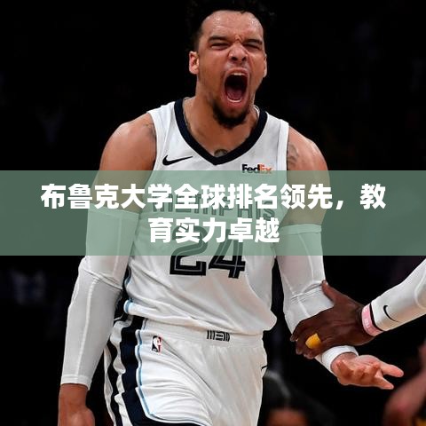 布鲁克大学全球排名领先，教育实力卓越