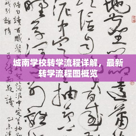 城南学校转学流程详解，最新转学流程图概览