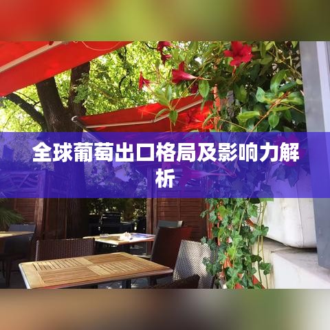 全球葡萄出口格局及影响力解析