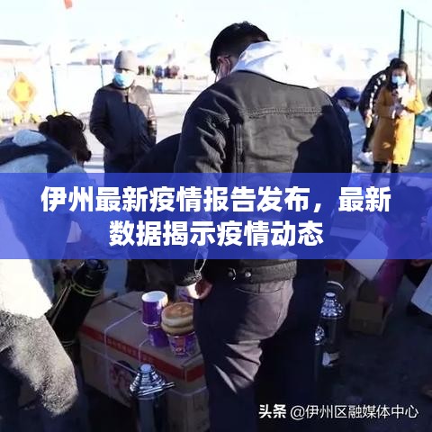 伊州最新疫情报告发布，最新数据揭示疫情动态