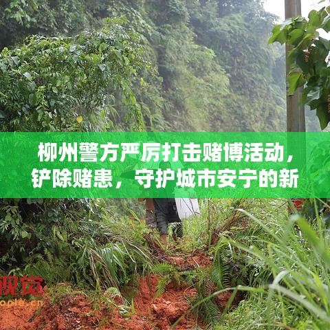 柳州警方严厉打击赌博活动，铲除赌患，守护城市安宁的新闻头条