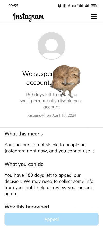 ins下载官方安,全面评估解析说明&amp;uShop_v10.886