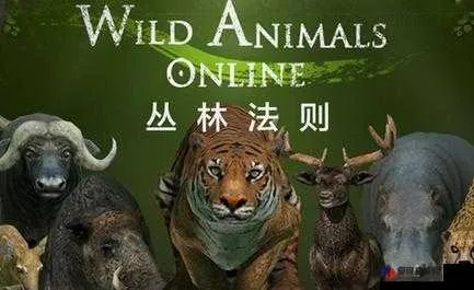 丛林法则激活码多久与象棋游戏下载单机版,高速响应方案解析_MR_v8.621