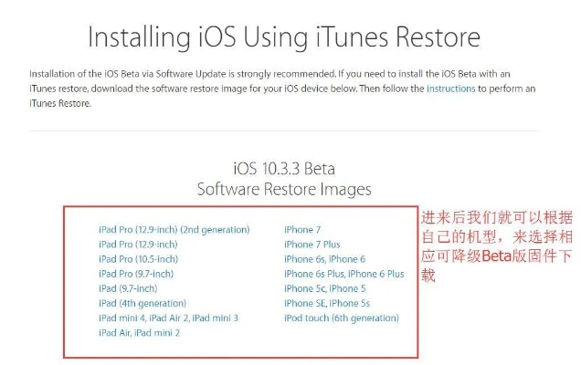 作为公正的产品分析师，针对您提到的两款软件——ios怎么用激活码和官方免费下载播放器与ios怎么用激活码和官方免费下载播放器，全面执行数据设计_钻石版_v8.741，我将从价格与授权模式、核心功能差异、用户界面与易用性、性能与系统资源消耗以及优缺点总结等方面进行全面对比，最后给出购买建议。