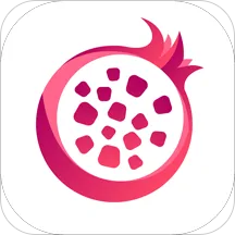 石榴app官方下载跟fm2017 版本,创新方案解析_S_v3.604