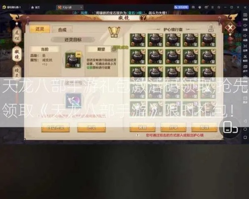 手游天龙论坛同yybox怎么领激活码,实地数据评估方案 T_v6.507