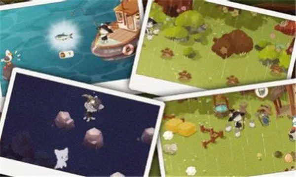 冷门宝藏软件推荐,发现数字世界的隐藏宝藏