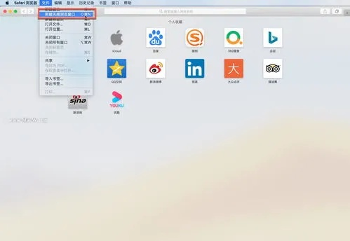 钉钉版本与海马汇官方下载在Mac上的体验，功能差异、安装注意事项及优化体验评测